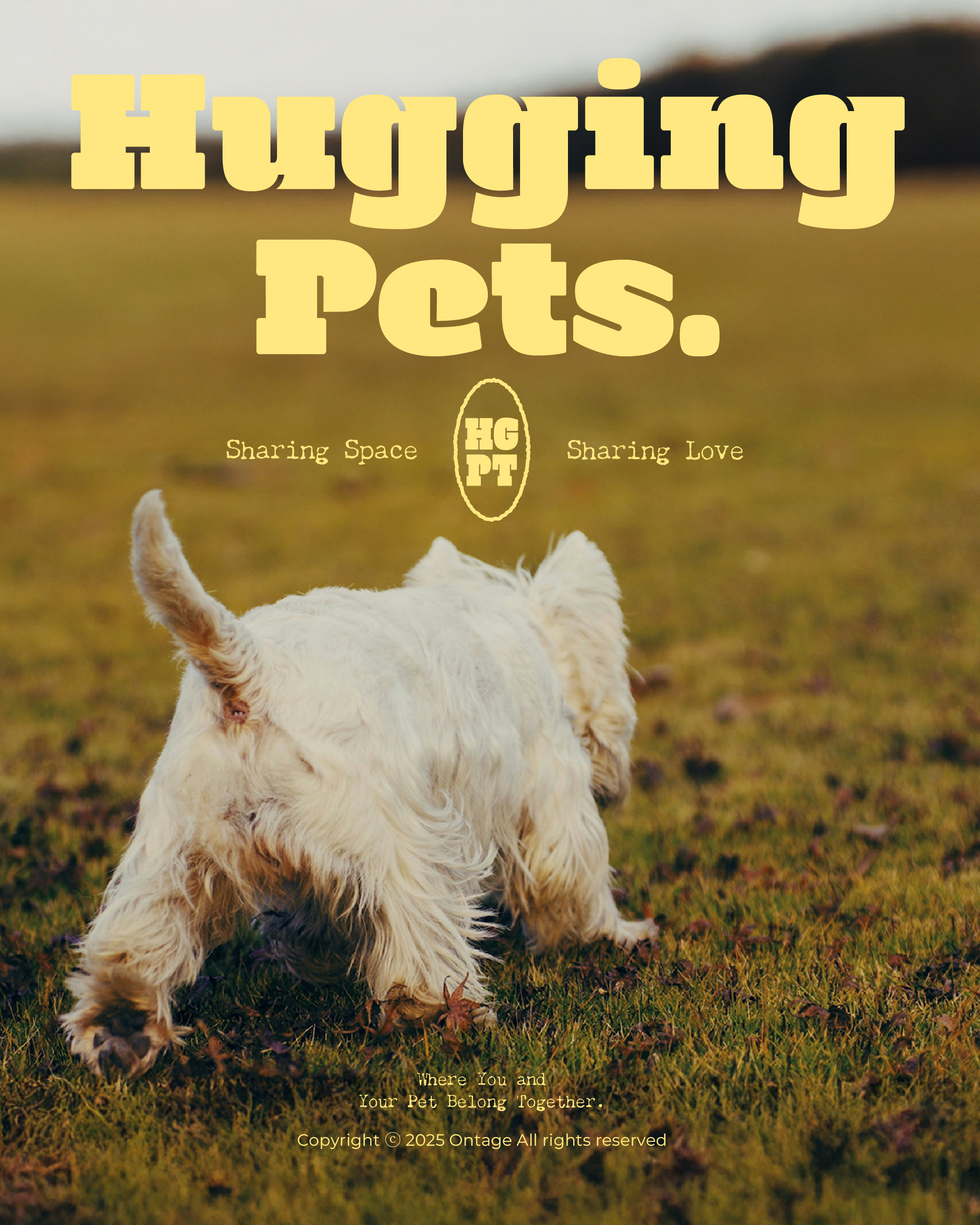 HuggingPets — 1