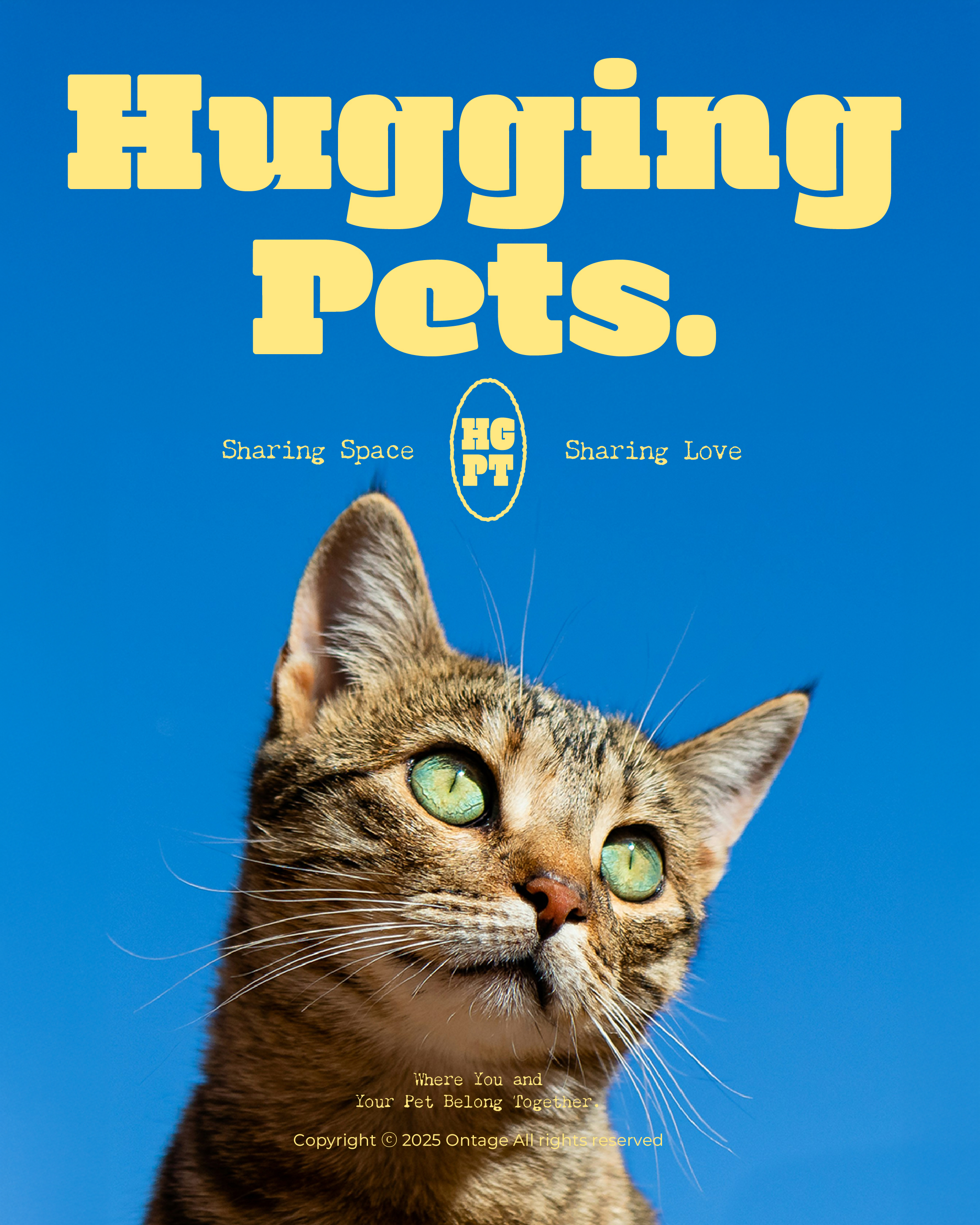 HuggingPets — 3