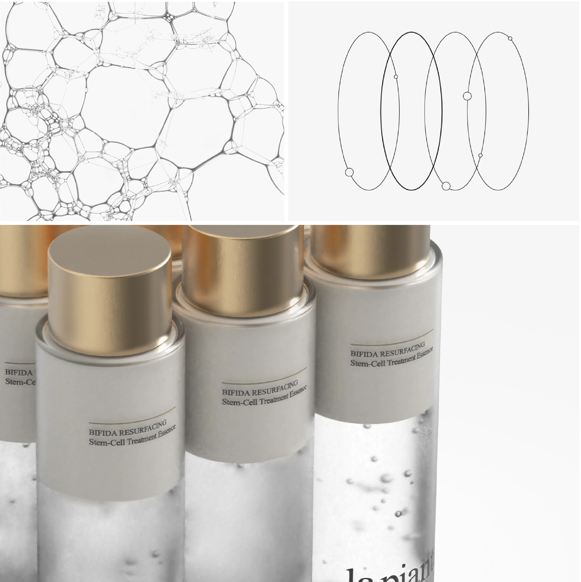 la pianta Cosmetic Packaging